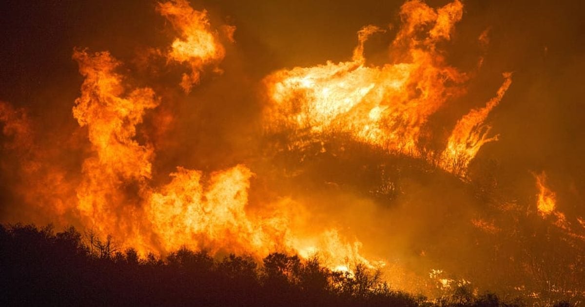 Wildfire Destroys 1 Million Acres, Killing Thousands of Livestock In Texas | WLT Report
