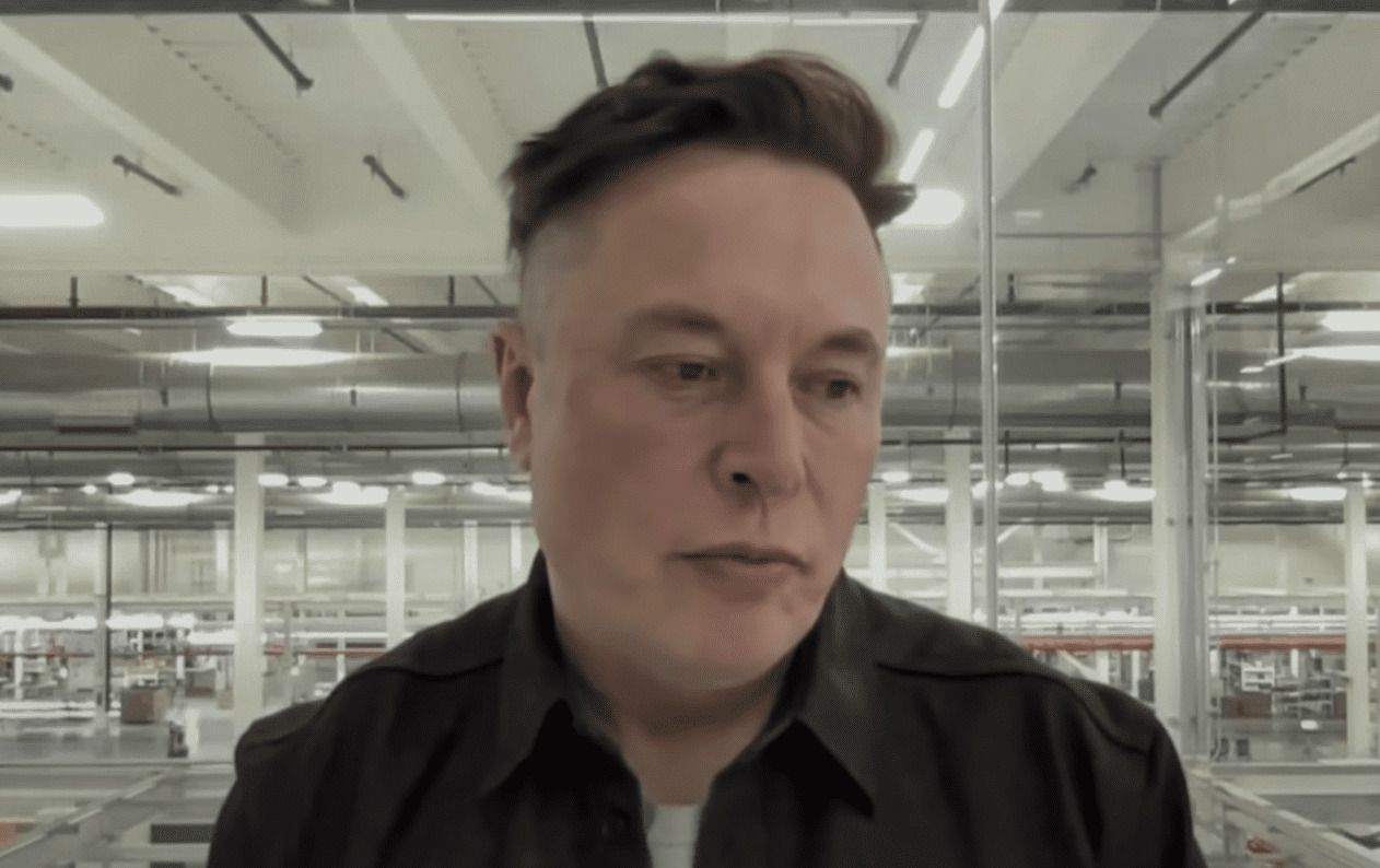 Elon Musk Tweets Imminent Warning | WLT Report