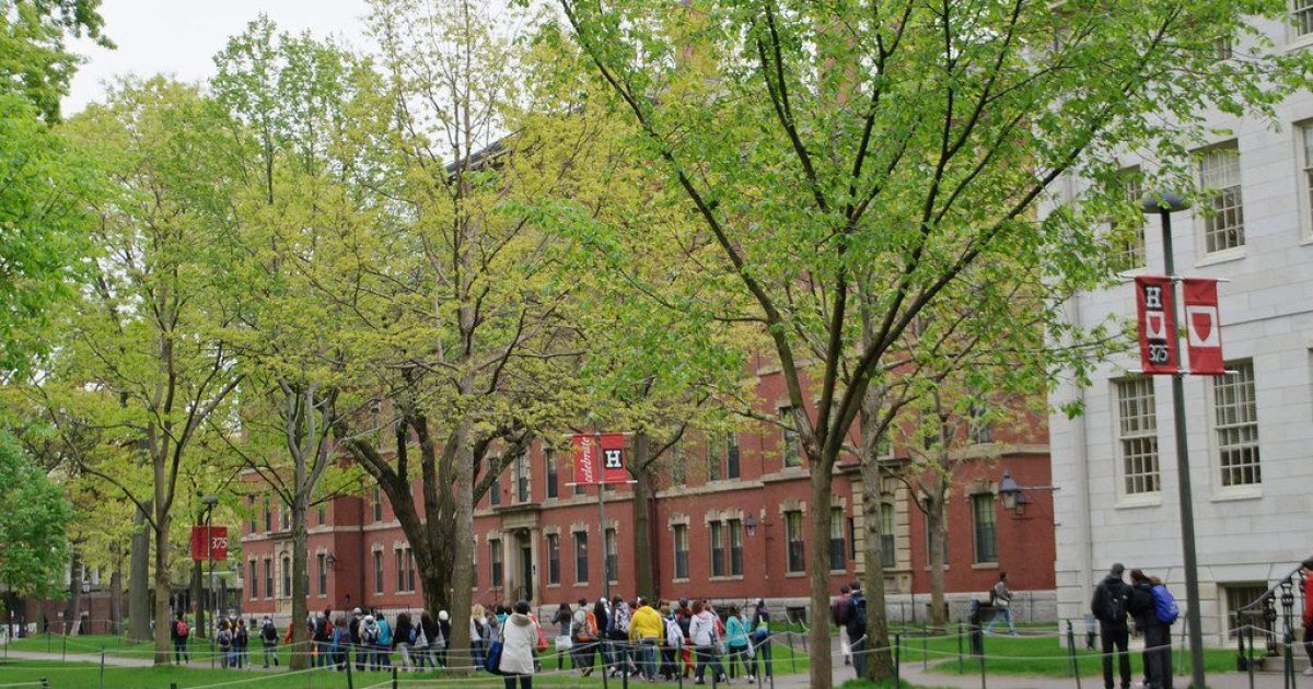 Harvard Sued For Discriminating Against Jewish Student's Civil Rights | WLT Report