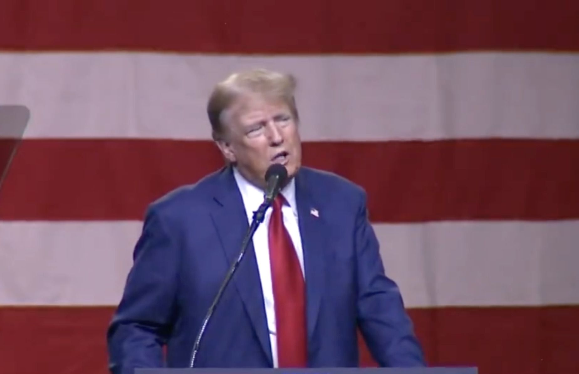 WATCH: President Trump TORCHES Protestor, “Go Home To Your MOM!”