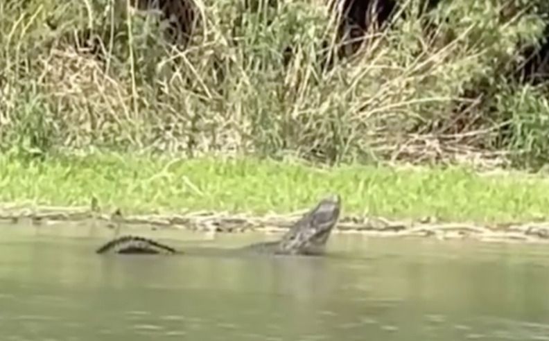 MUST SEE: Gator Spotted In Rio Grande River At U.S.-Mexico Border, Gov. Abbot Issues Warning