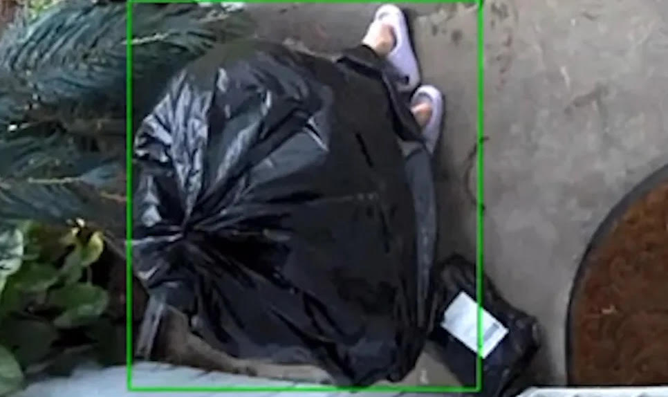 Thief Uses Garbage Bag As Disguise To Steal Package