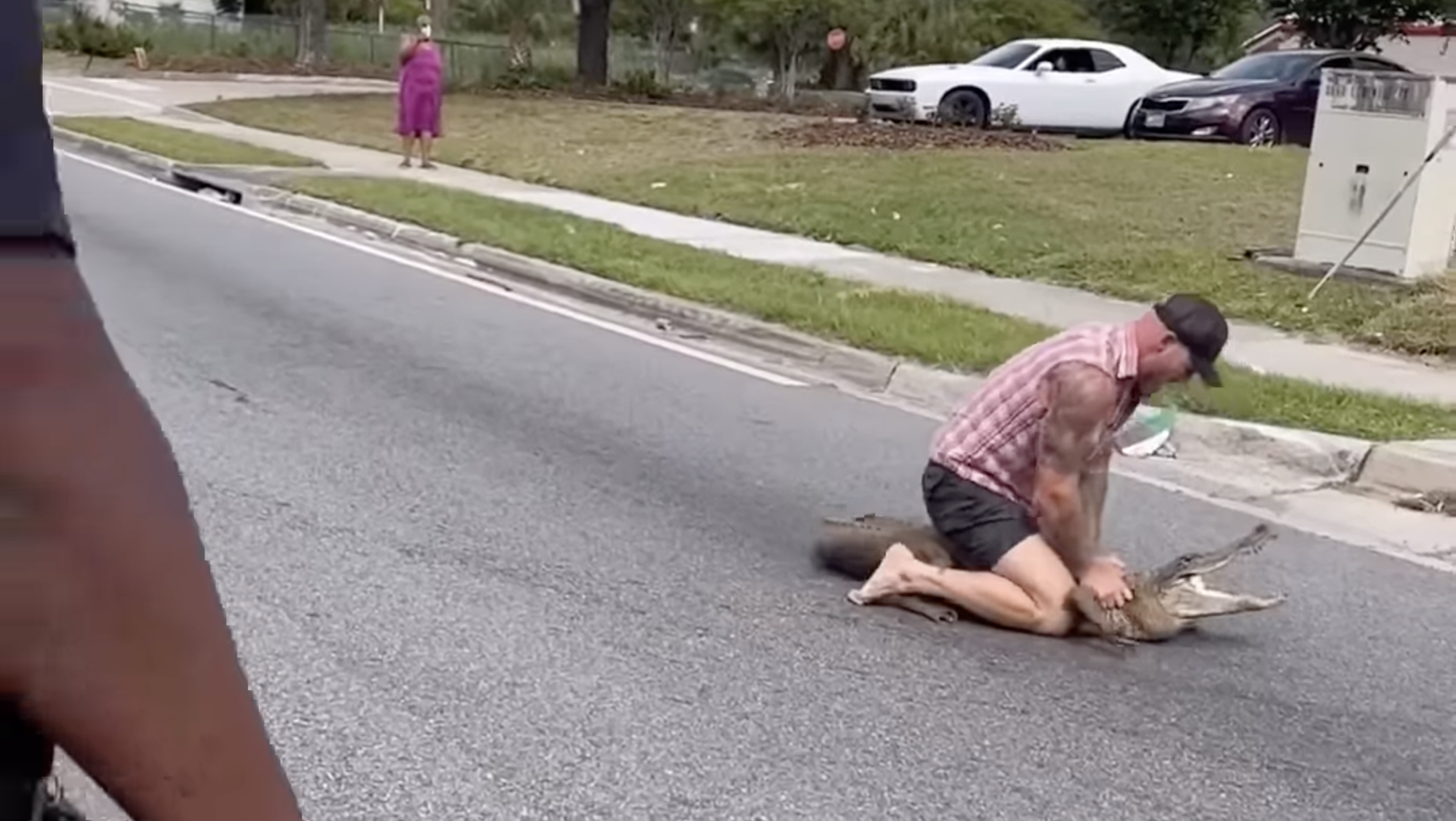 Florida Man Wrestles 8 Foot Alligator On Public Street With Bare Hands!