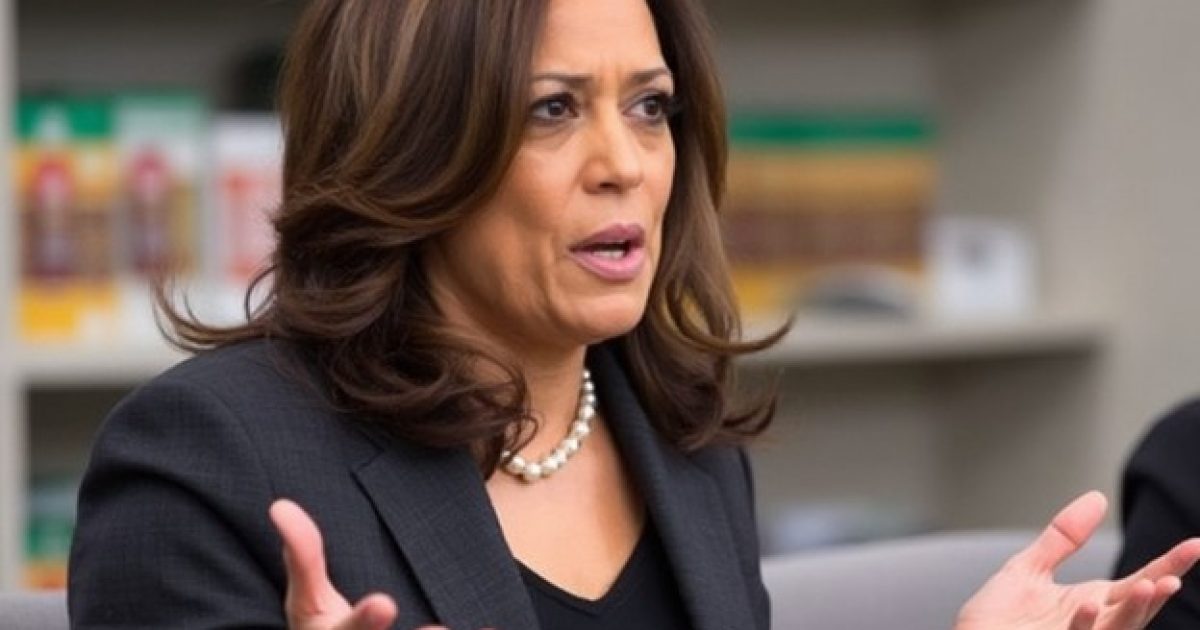 EXPOSED: Kamala Harris Senior Campiagn Adviser Reveals Internal Polling Never Showed Harris Leading Trump