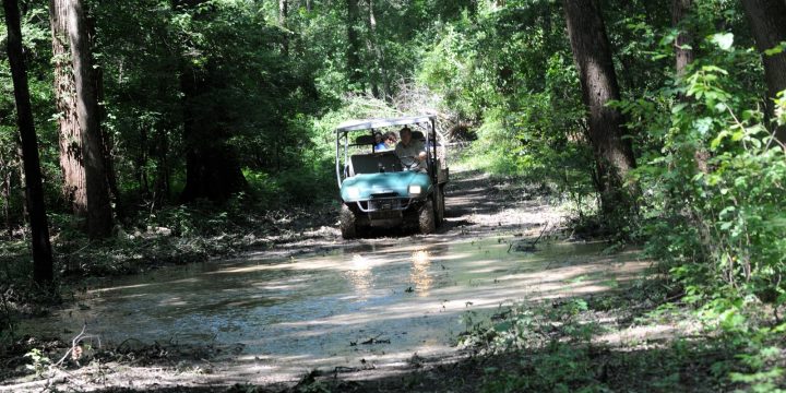 ATV driving on a muddy forest trail