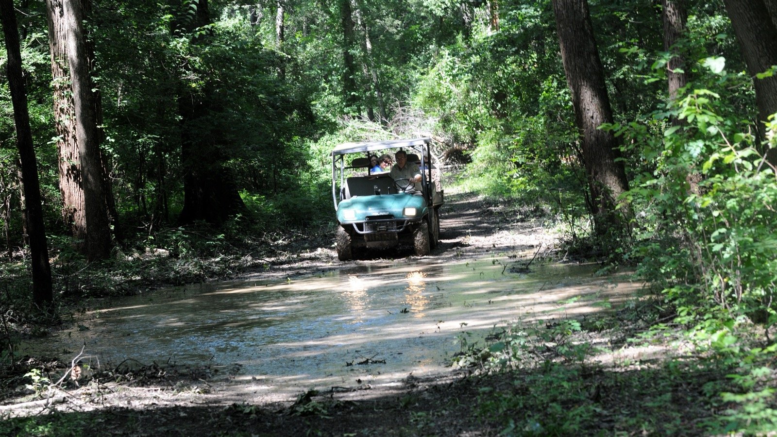 ATV driving on a muddy forest trail
