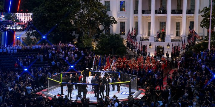 President Trump at the White House UFC event
