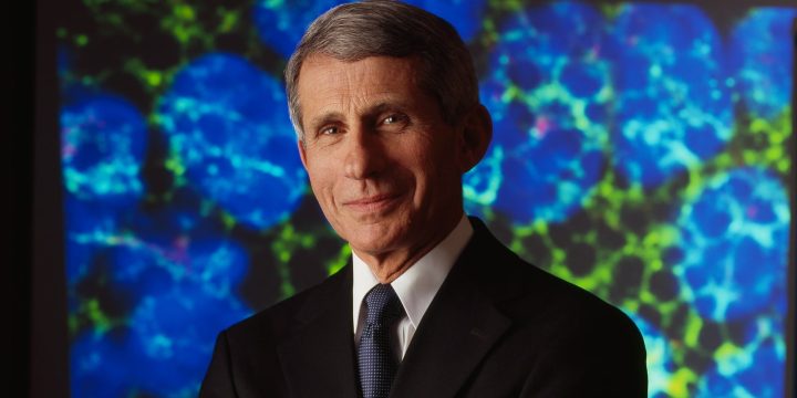 Anthony Fauci in an official NIAID portrait