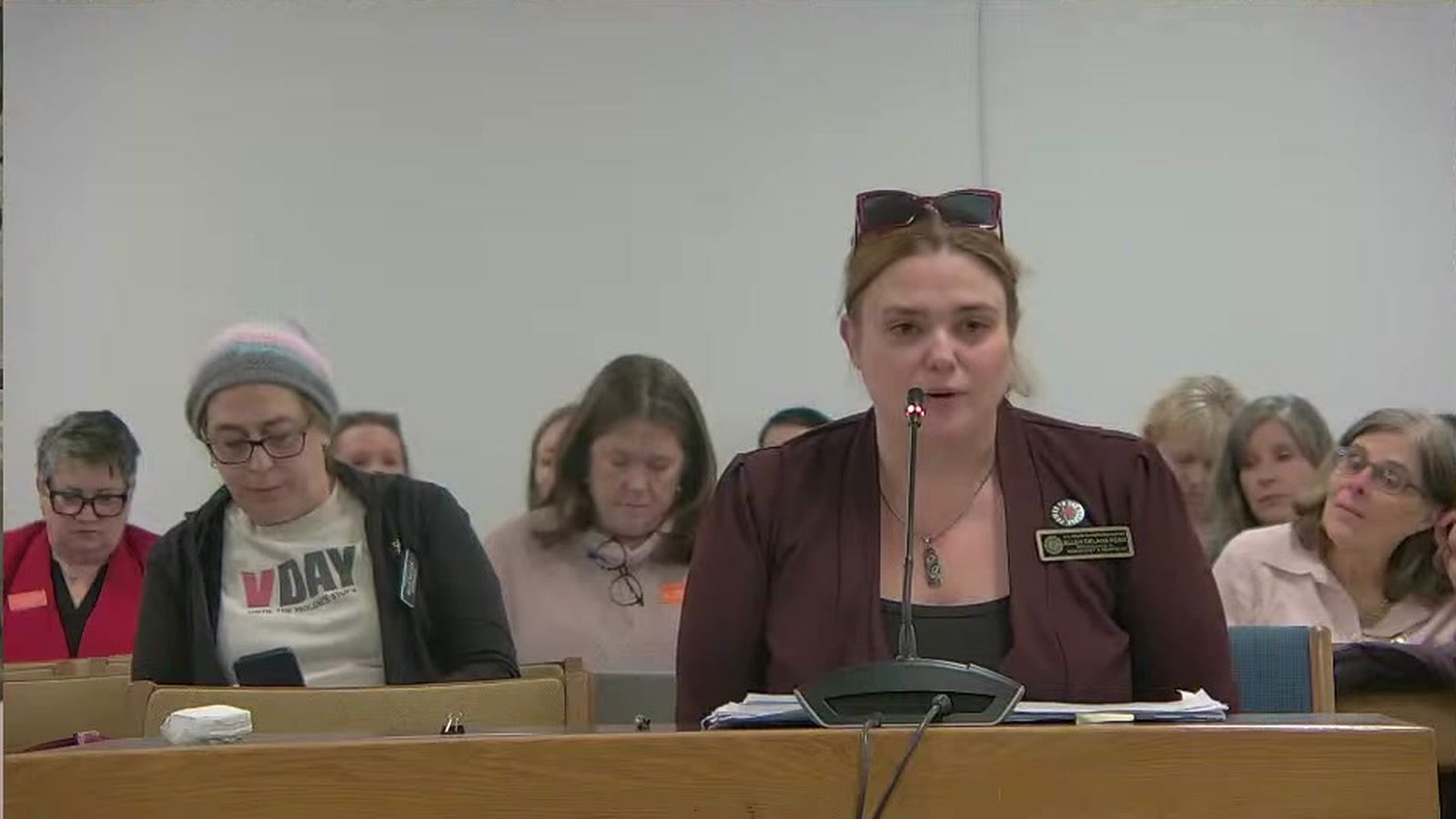 New Hampshire state Rep. Ellen Read testifying before a House committee