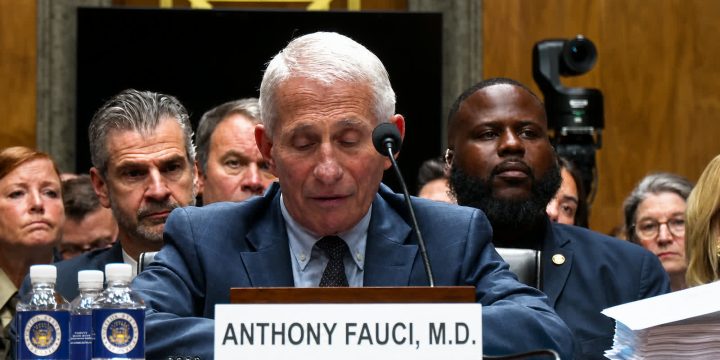 Dr. Anthony Fauci testifying before the Senate Homeland Security and Governmental Affairs Committee on July 29, 2026
