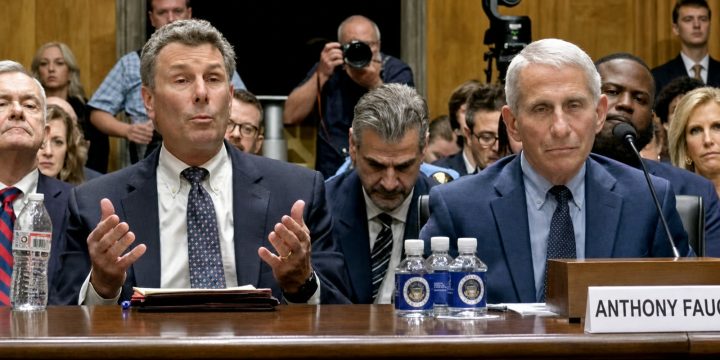 Anthony Fauci and his attorney during the July 29, 2026 Senate hearing