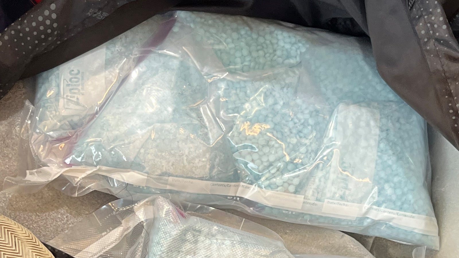 Large sealed bags of blue counterfeit prescription pills seized by federal drug agents