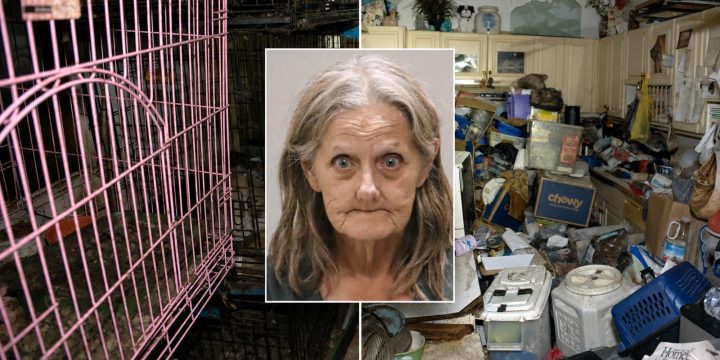 Gail Giustino pictured between animal cages and the interior of the home searched by Martin County deputies